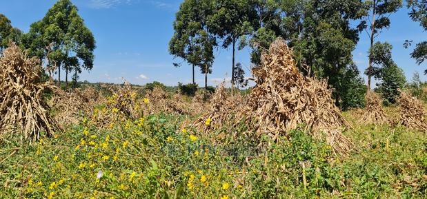 7 Acres With Homestead for Sale Mlango Kapseret Eldoret
