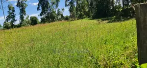 7 Acres With Homestead for Sale Mlango Kapseret Eldoret