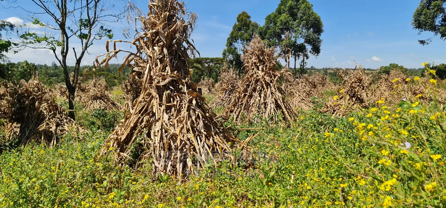 7 Acres With Homestead for Sale Mlango Kapseret Eldoret