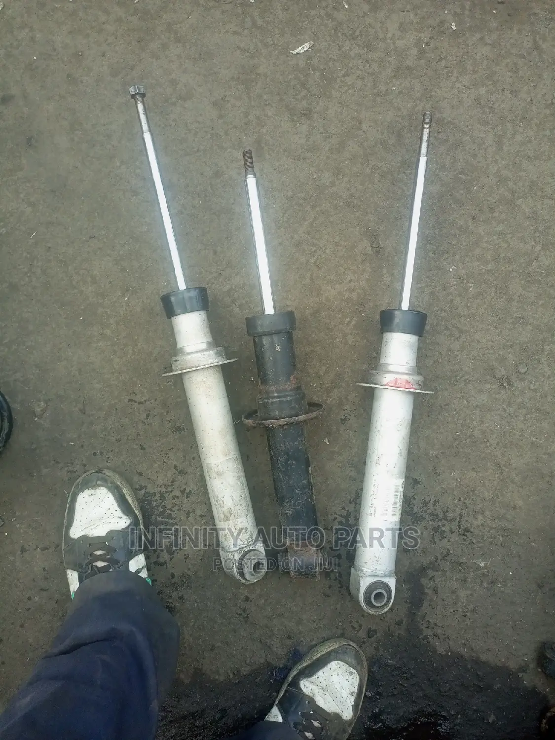 Bmw Rear Shocks