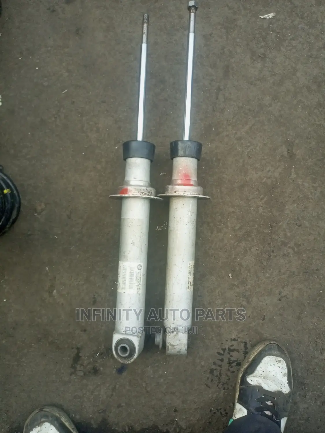 Bmw Rear Shocks