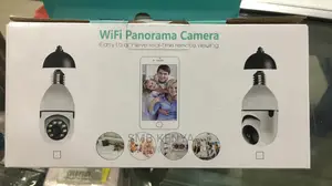 Bulb Spy Camera