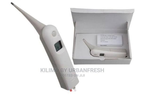 Digital Vet Thermometer. - main view