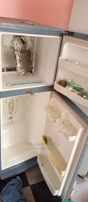 Fridge, Repair Services