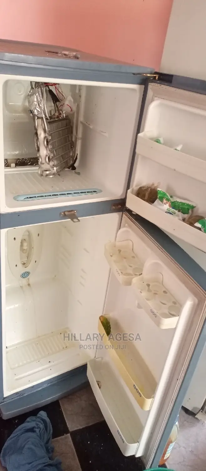 Fridge, Repair Services