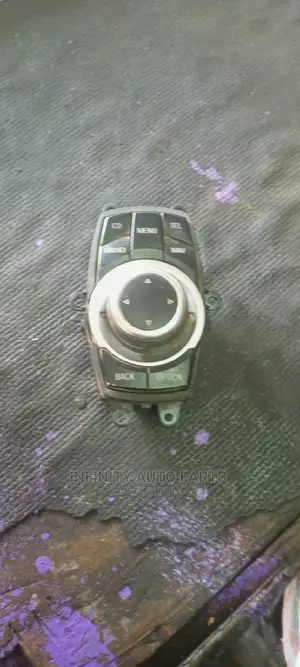 Bmw X1 Remote