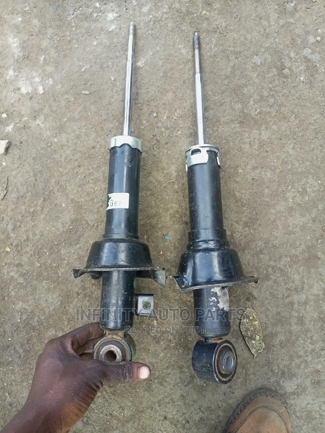 Honda Rear Shocks