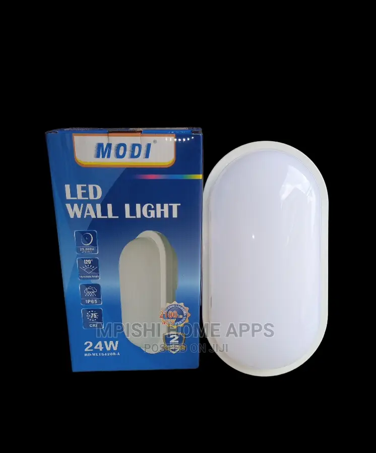 LED Bulk Head Oval 24w