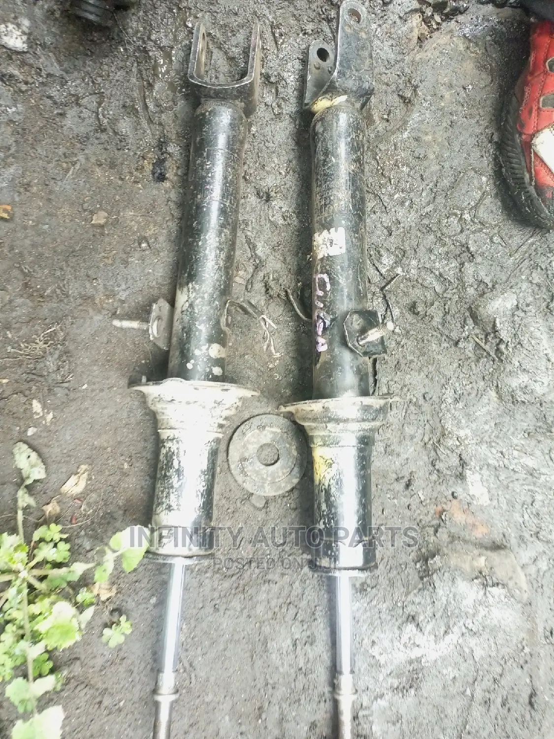 Nissan Fuga Shocks