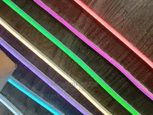 12v/Dc Neon Snake Light