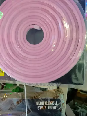 5meters Dc Neon Snake Light