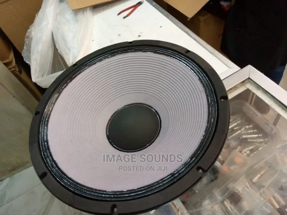 JBL 18" Naked Bass Speaker