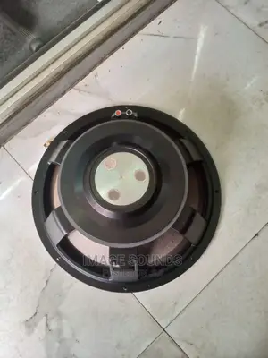 JBL 15" Naked Speaker