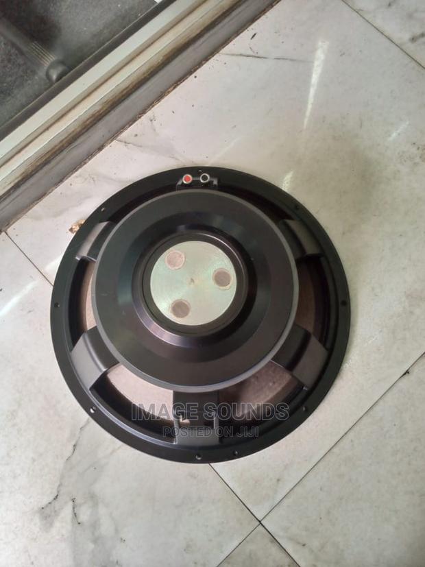 JBL 15" Naked Speaker
