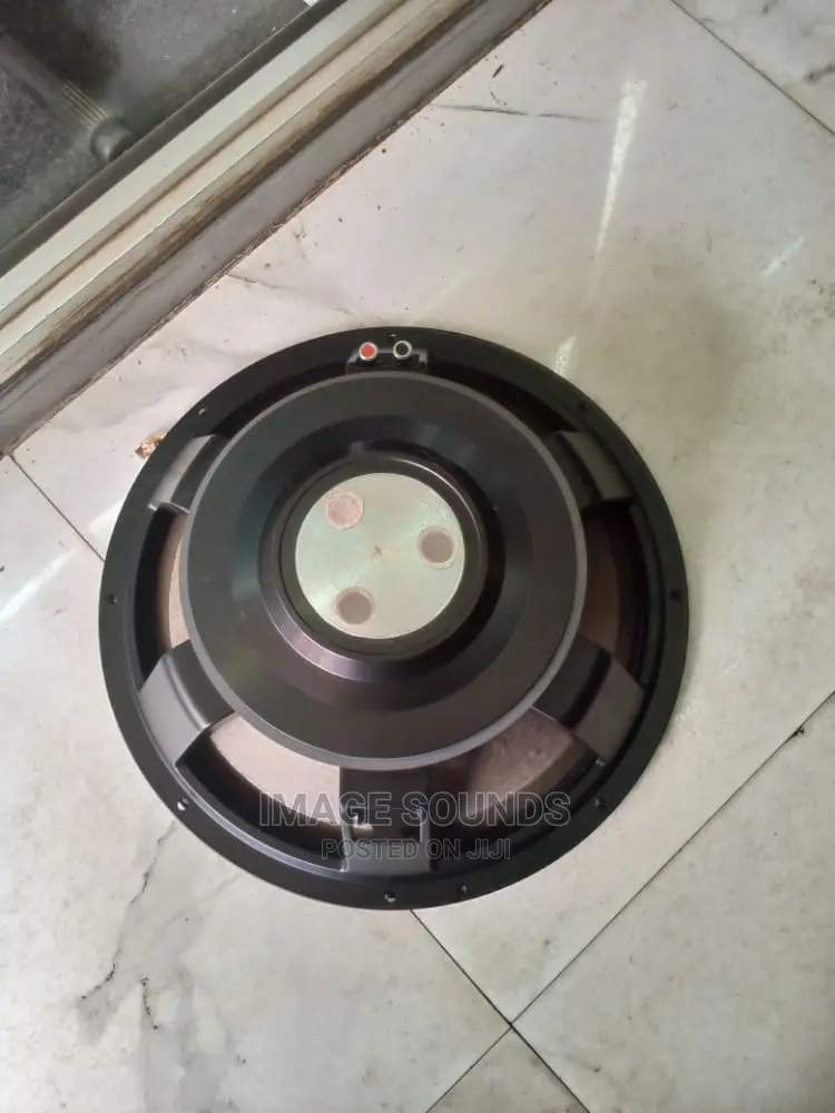 JBL 15" Naked Speaker