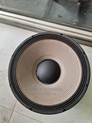 JBL 15" Naked Speaker