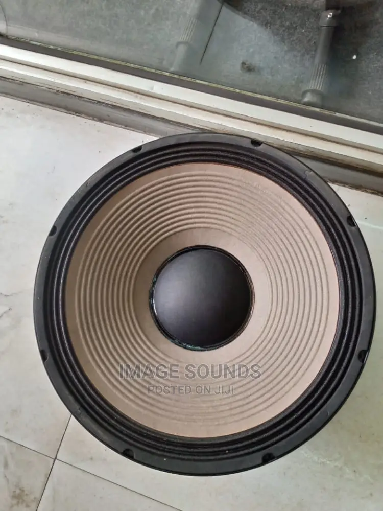 JBL 15" Naked Speaker
