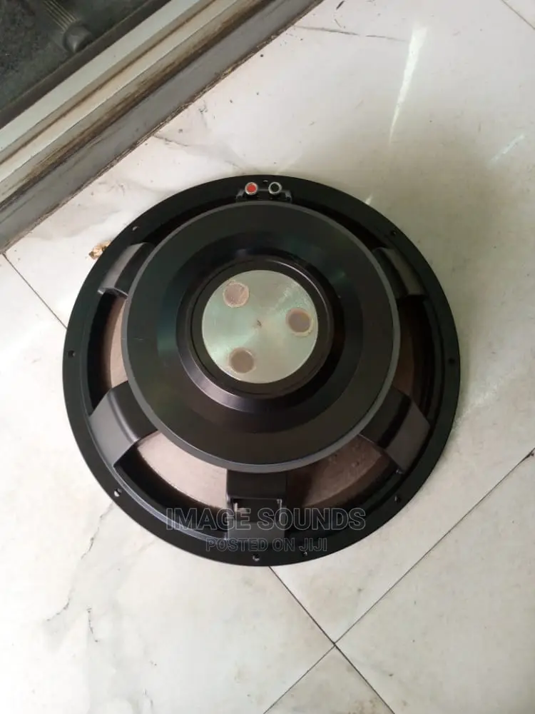 JBL 15" Naked Mid-Range Speaker
