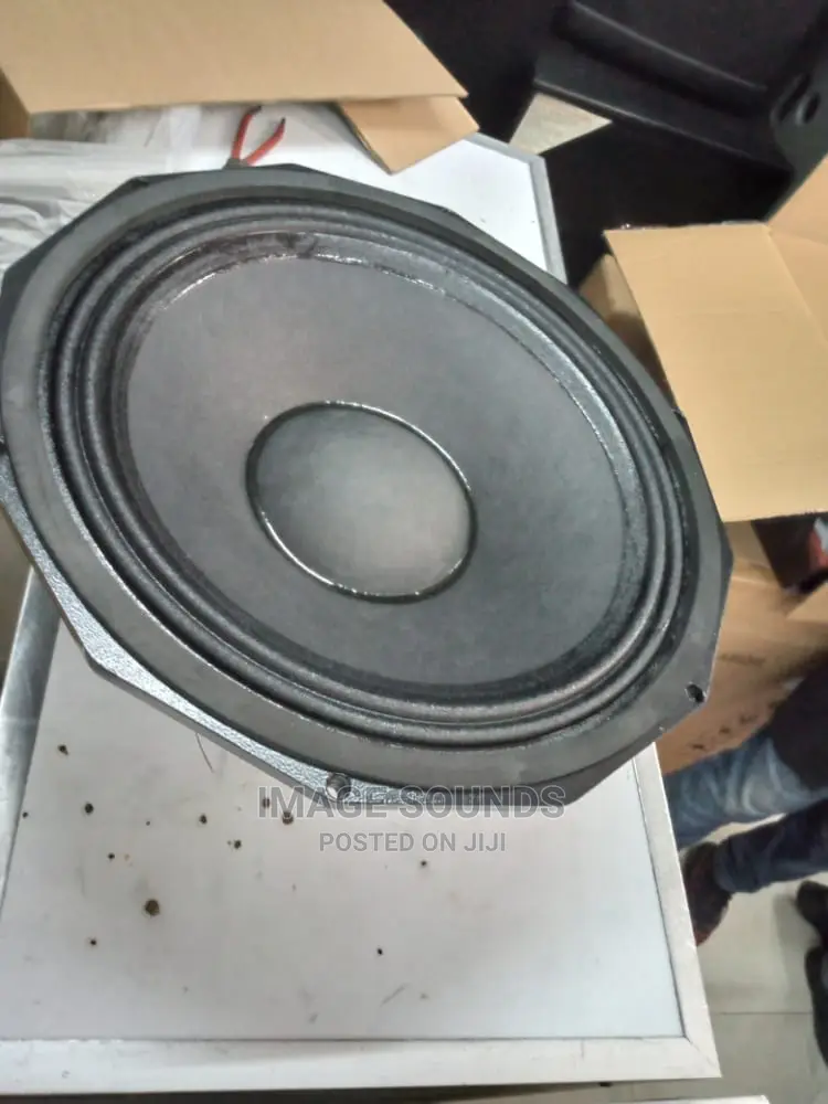 PD 18" Bass Speaker