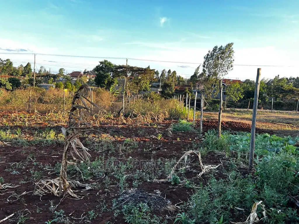 Prime Residential Plot (100 by 100 Fts) in Kikuyu ,Gikambura
