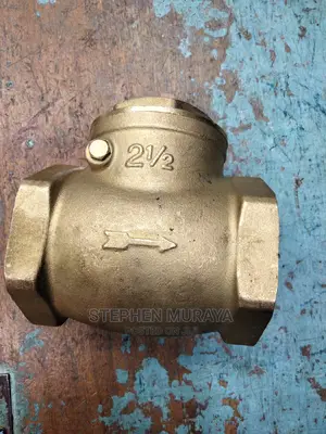 Non Return Valve