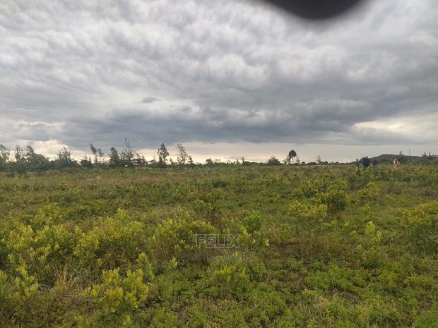 Laikipia/Nairutia,Kariguini - thumbnail 6