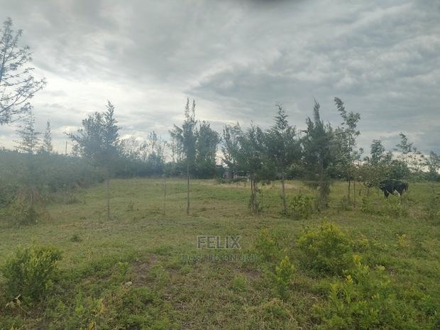 Laikipia/Nairutia,Kariguini - thumbnail 9