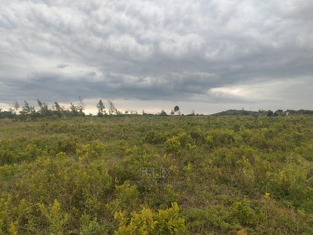 Laikipia/Nairutia,Kariguini - thumbnail 8