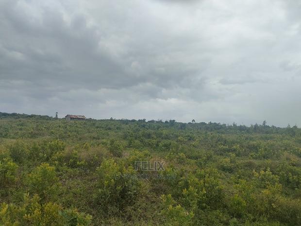 Laikipia/Nairutia,Kariguini - thumbnail 12