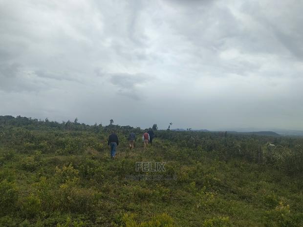 Laikipia/Nairutia,Kariguini - thumbnail 11