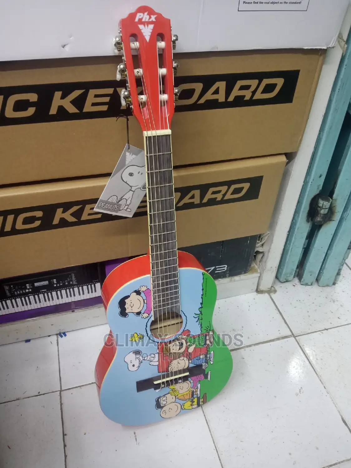 Acoustic Guitar for Kids 4 to 12 Yrs
