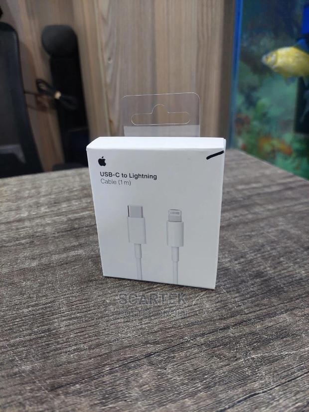 USB C To Lightning Apple Cable