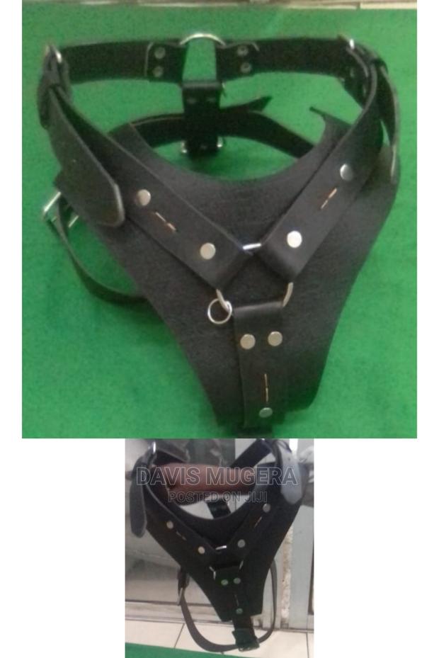 Spiked and Non-Spiked Heavy Duty Genuine Leather Dog Harness - thumbnail 2