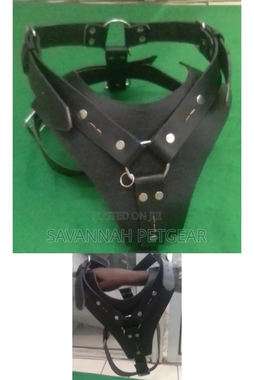 Spiked and Non-Spiked Heavy Duty Genuine Leather Dog Harness