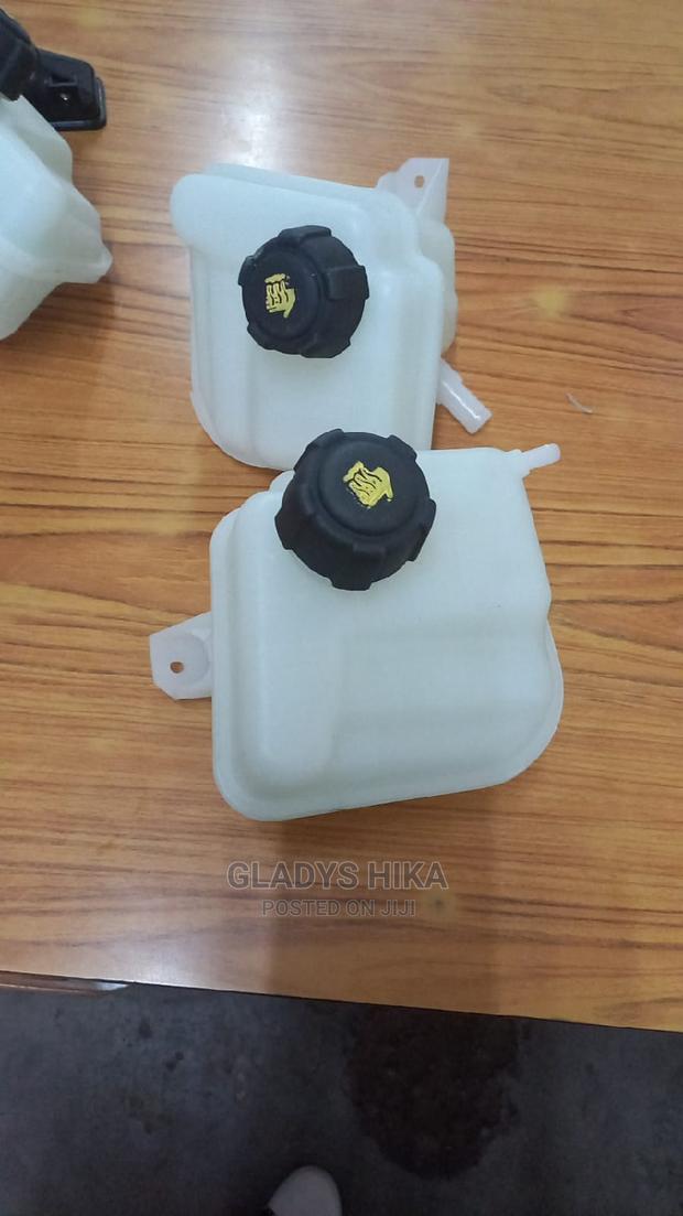 Radiator Coolants for Dualis