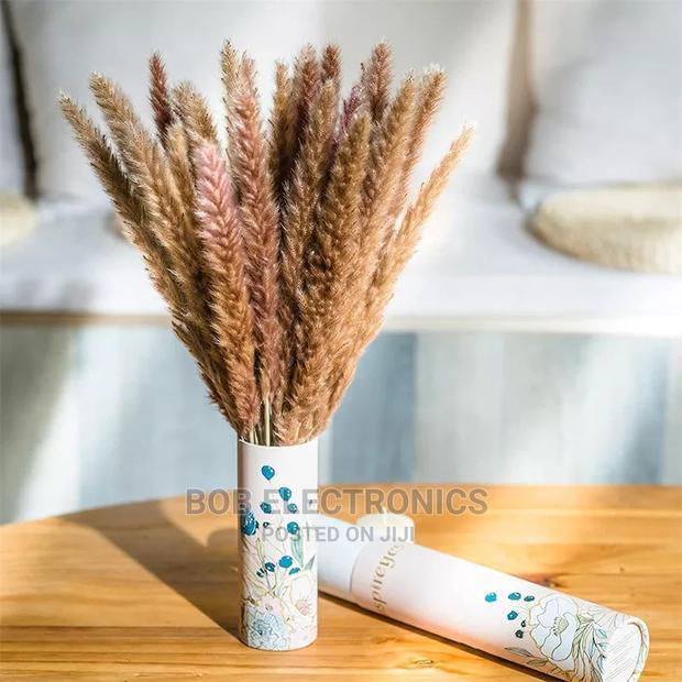 Colored Mini Pampas Grass