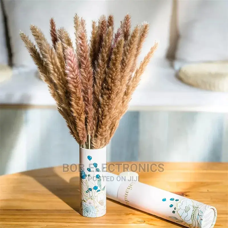 Colored Mini Pampas Grass