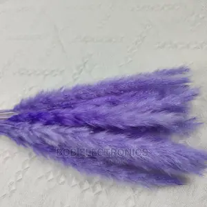 Colored Mini Pampas Grass