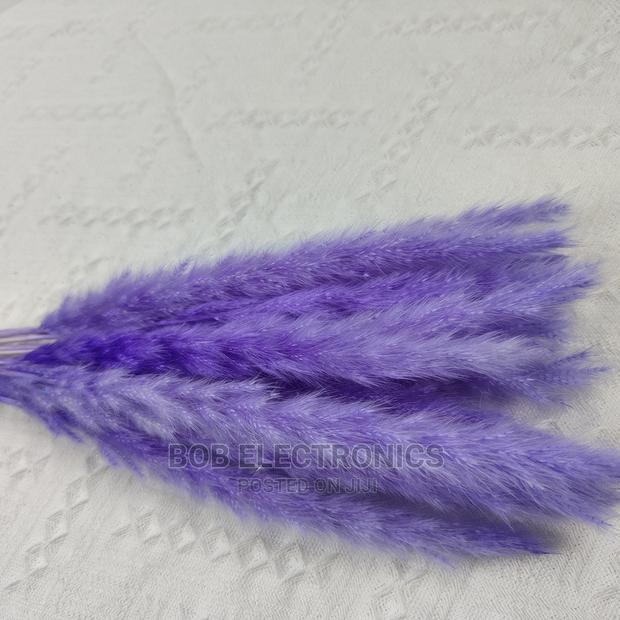 Colored Mini Pampas Grass - thumbnail 3