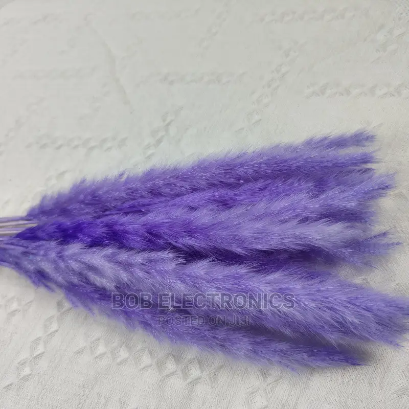 Colored Mini Pampas Grass