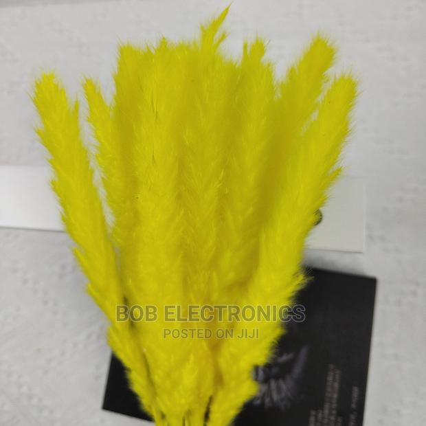 Colored Mini Pampas Grass - thumbnail 4