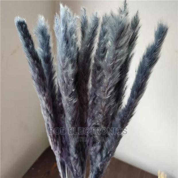 Colored Mini Pampas Grass - thumbnail 2
