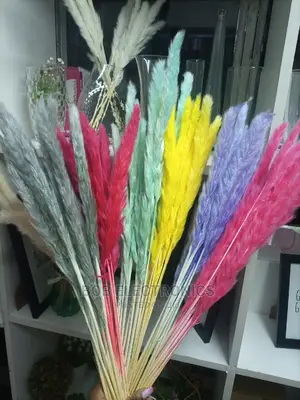 Colored Mini Pampas Grass
