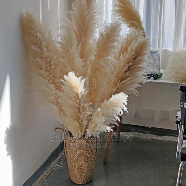Natural Color Fluffy Pampas Grass - main view