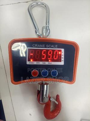 Digital Hinging Scale - thumbnail 2