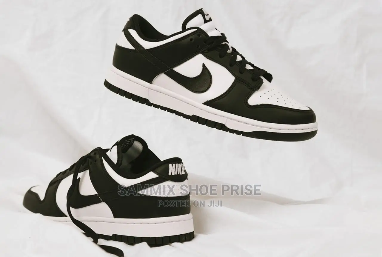 Jordan SB Dunk