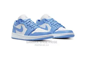 Jordan SB Dunk