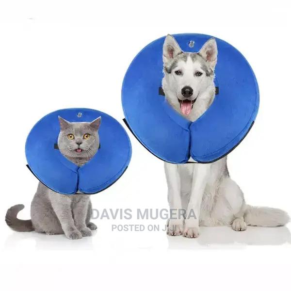 Inflatable Recovery Collar for Cats Dogs - main view