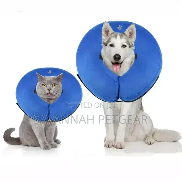 Inflatable Recovery Collar for Cats Dogs