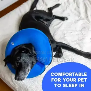 Inflatable Recovery Collar for Cats Dogs